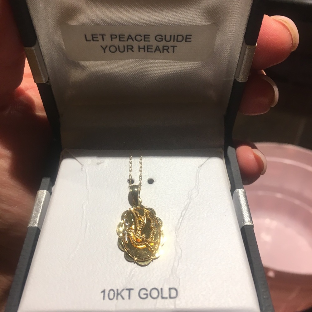 10k gold Dove 18” necklace